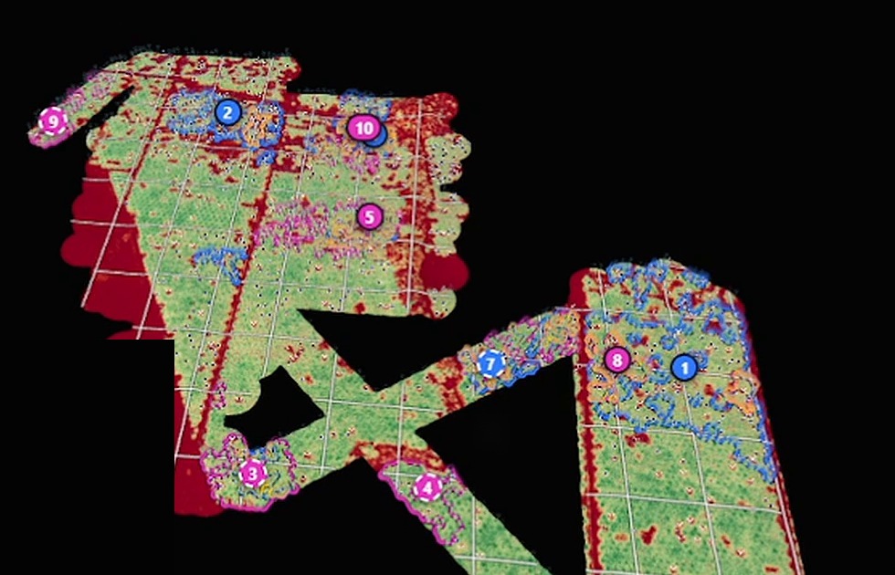 Mapa de la plantación con cuatro zonas prioritarias numeradas